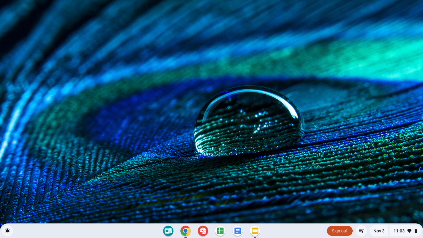 Chrome Icon